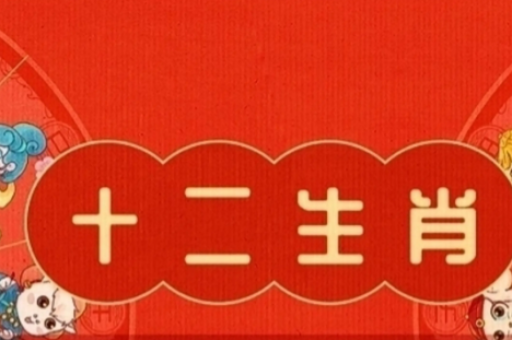 澳门六合和彩近15期