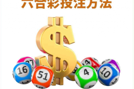 393444澳门六合论云